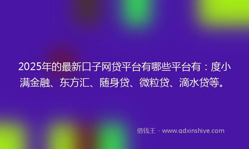 2025年的最新口子网贷平台有哪些平台有：度小满金融、东方汇、随身贷、微粒贷、滴水贷等。