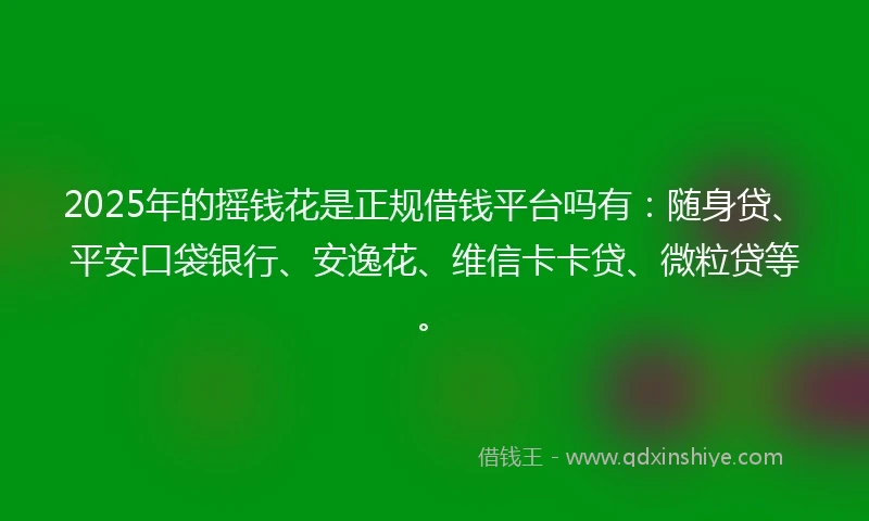2025年的摇钱花是正规借钱平台吗有：随身贷、平安口袋银行、安逸花、维信卡卡贷、微粒贷等。