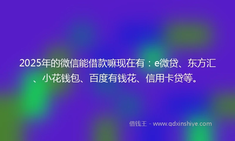 2025年的微信能借款嘛现在有：e微贷、东方汇、小花钱包、百度有钱花、信用卡贷等。