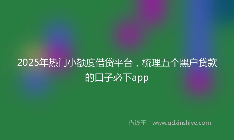 2025年热门小额度借贷平台，梳理五个黑户贷款的口子必下app