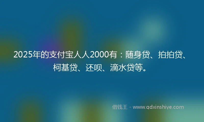 2025年的支付宝人人2000有：随身贷、拍拍贷、柯基贷、还呗、滴水贷等。