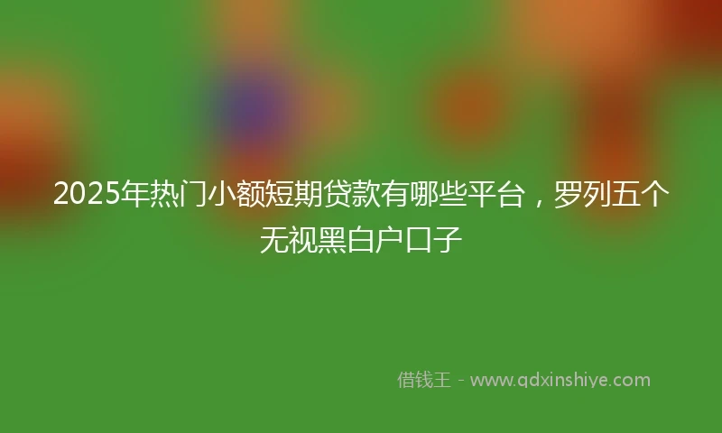 2025年热门小额短期贷款有哪些平台，罗列五个无视黑白户口子