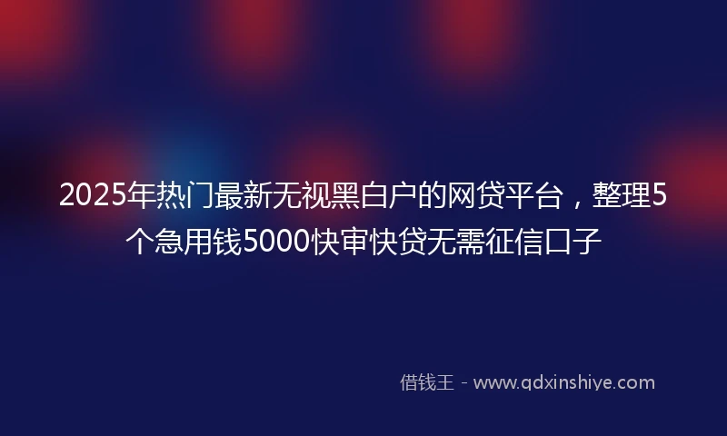 2025年热门最新无视黑白户的网贷平台，整理5个急用钱5000快审快贷无需征信口子