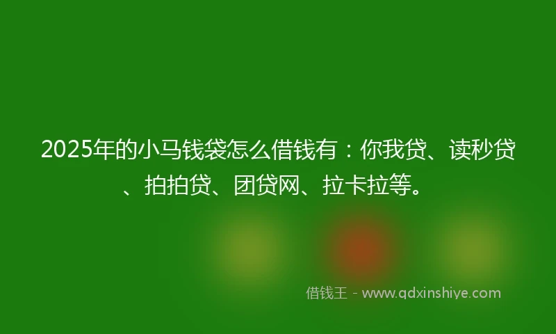 2025年的小马钱袋怎么借钱有：你我贷、读秒贷、拍拍贷、团贷网、拉卡拉等。