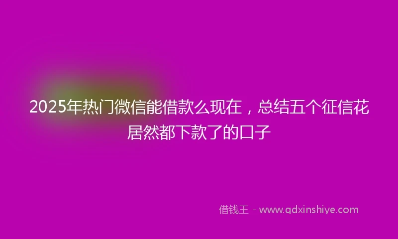 2025年热门微信能借款么现在，总结五个征信花居然都下款了的口子