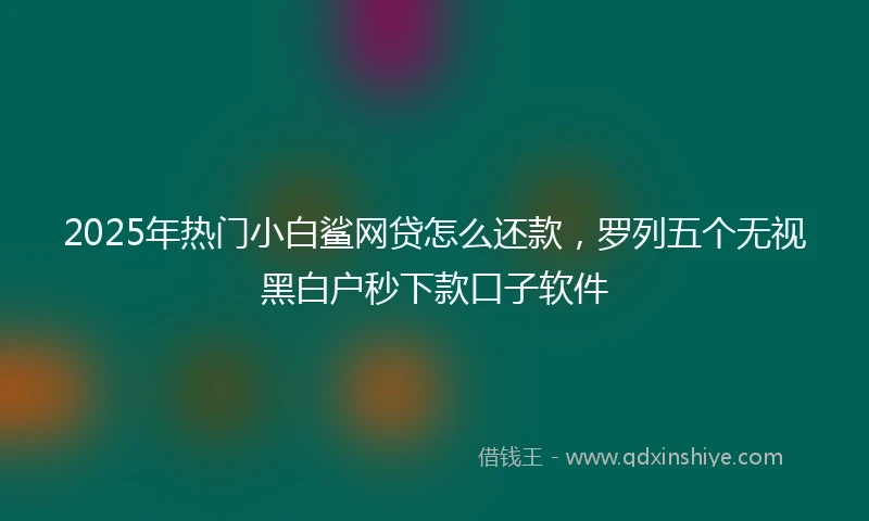 2025年热门小白鲨网贷怎么还款，罗列五个无视黑白户秒下款口子软件