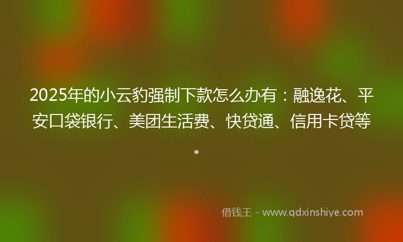 2025年的小云豹强制下款怎么办有：融逸花、平安口袋银行、美团生活费、快贷通、信用卡贷等。