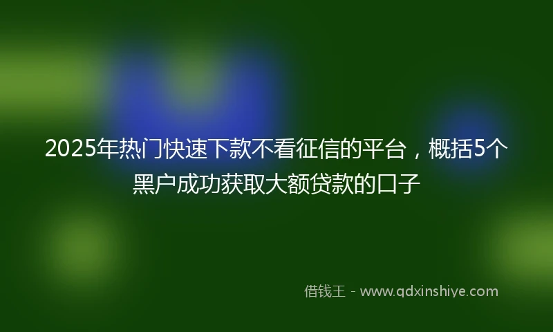 2025年热门快速下款不看征信的平台，概括5个黑户成功获取大额贷款的口子