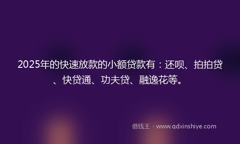 2025年的快速放款的小额贷款有：还呗、拍拍贷、快贷通、功夫贷、融逸花等。