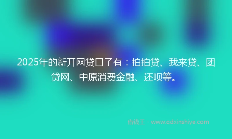 2025年的新开网贷口子有:拍拍贷、我来贷、团贷网、中原消费金融、还呗等。