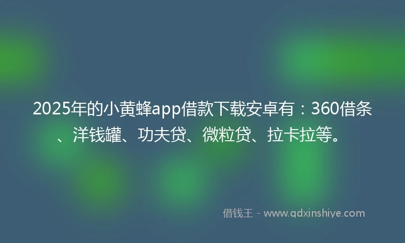 2025年的小黄蜂app借款下载安卓有：360借条、洋钱罐、功夫贷、微粒贷、拉卡拉等。