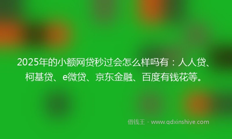 2025年的小额网贷秒过会怎么样吗有：人人贷、柯基贷、e微贷、京东金融、百度有钱花等。