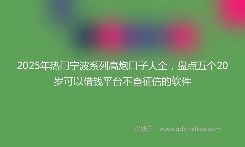2025年热门宁波系列高炮口子大全，盘点五个20岁可以借钱平台不查征信的软件