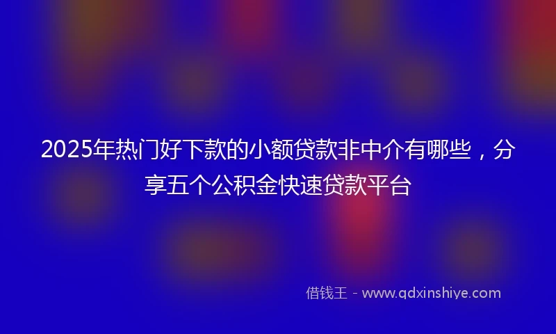 2025年热门好下款的小额贷款非中介有哪些，分享五个公积金快速贷款平台