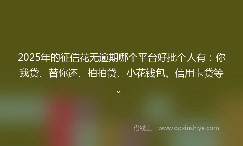 2025年的征信花无逾期哪个平台好批个人有:你我贷、替你还、拍拍贷、小花钱包、信用卡贷等。