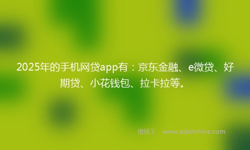 2025年的手机网贷app有：京东金融、e微贷、好期贷、小花钱包、拉卡拉等。
