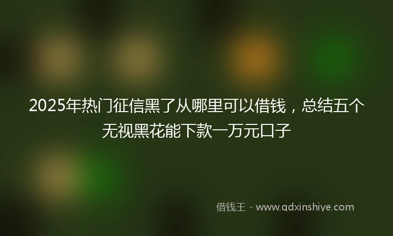 2025年热门征信黑了从哪里可以借钱，总结五个无视黑花能下款一万元口子