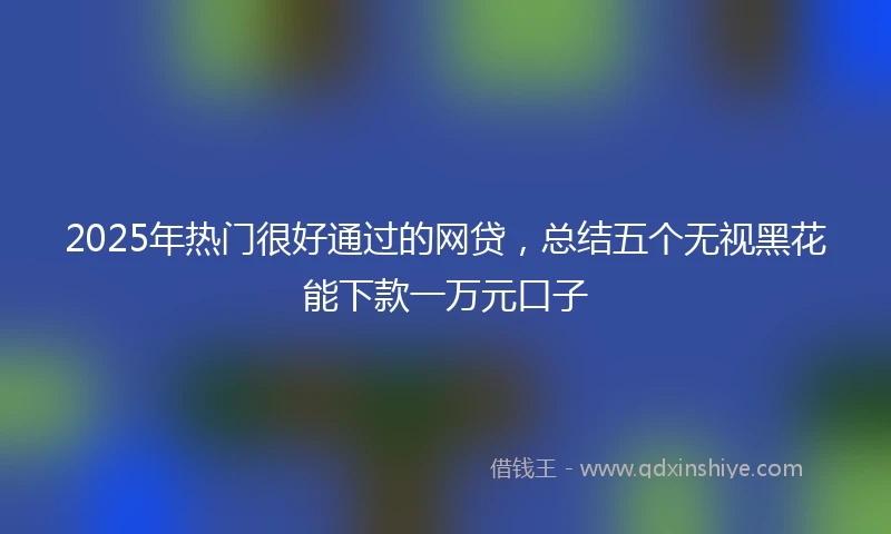 2025年热门很好通过的网贷，总结五个无视黑花能下款一万元口子