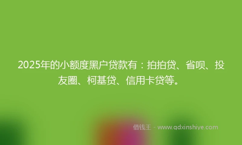2025年的小额度黑户贷款有：拍拍贷、省呗、投友圈、柯基贷、信用卡贷等。