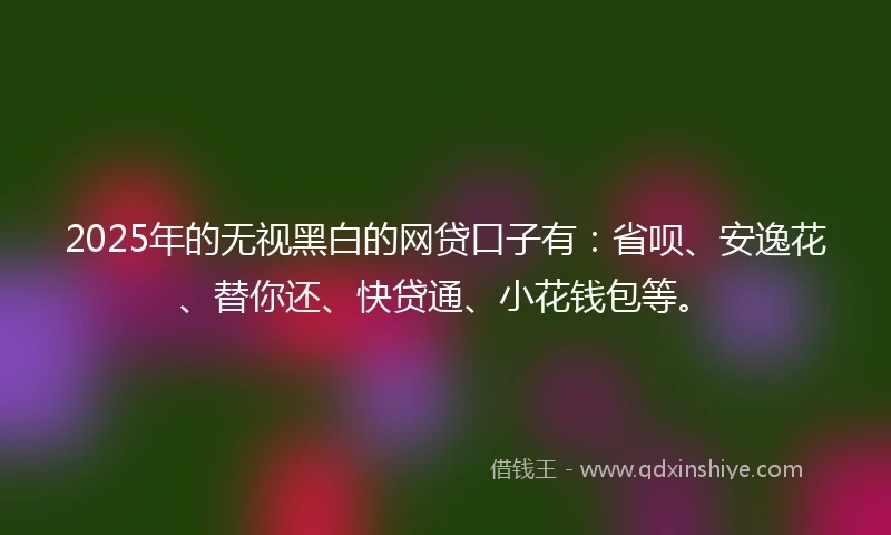 2025年的无视黑白的网贷口子有：省呗、安逸花、替你还、快贷通、小花钱包等。