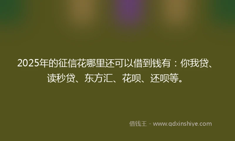 2025年的征信花哪里还可以借到钱有：你我贷、读秒贷、东方汇、花呗、还呗等。