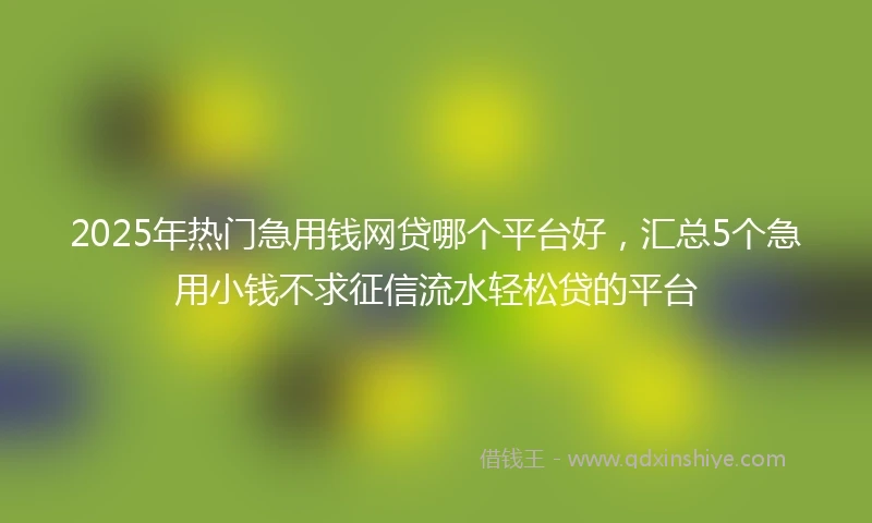 2025年热门急用钱网贷哪个平台好，汇总5个急用小钱不求征信流水轻松贷的平台
