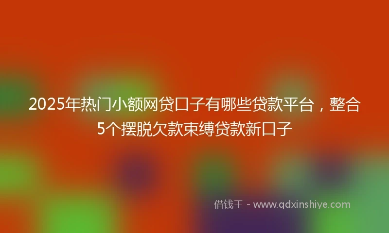 2025年热门小额网贷口子有哪些贷款平台，整合5个摆脱欠款束缚贷款新口子
