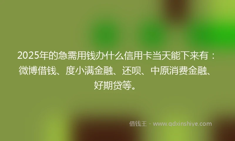 2025年的急需用钱办什么信用卡当天能下来有：微博借钱、度小满金融、还呗、中原消费金融、好期贷等。