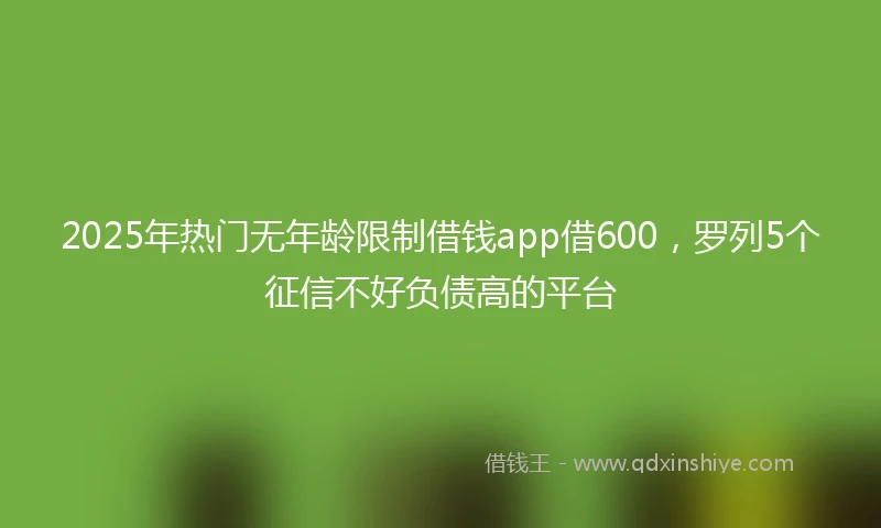 2025年热门无年龄限制借钱app借600，罗列5个征信不好负债高的平台