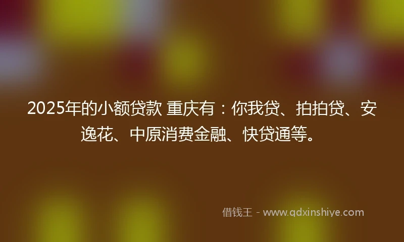 2025年的小额贷款 重庆有：你我贷、拍拍贷、安逸花、中原消费金融、快贷通等。