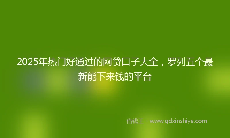 2025年热门好通过的网贷口子大全，罗列五个最新能下来钱的平台