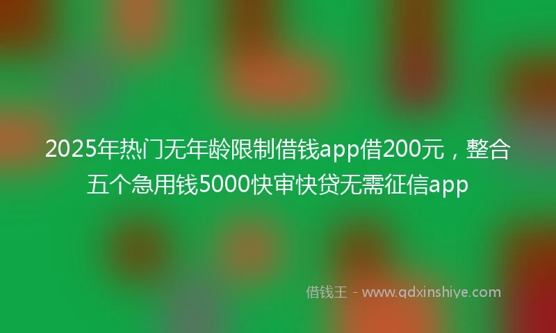 2025年热门无年龄限制借钱app借200元，整合五个急用钱5000快审快贷无需征信app