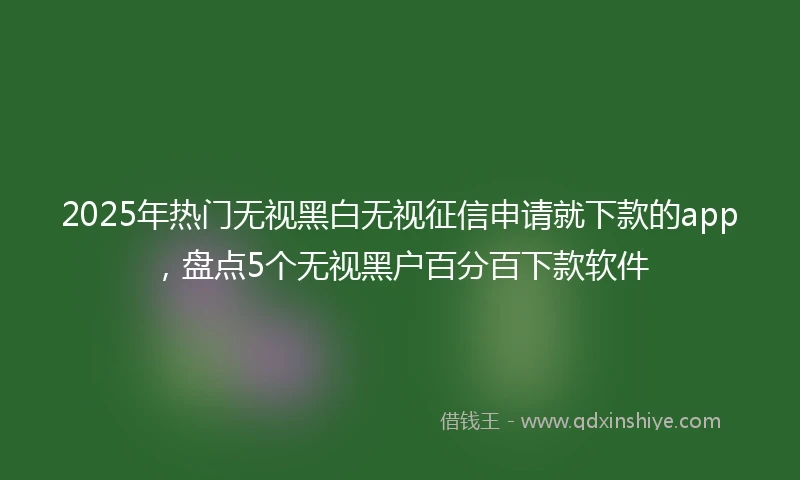 2025年热门无视黑白无视征信申请就下款的app，盘点5个无视黑户百分百下款软件