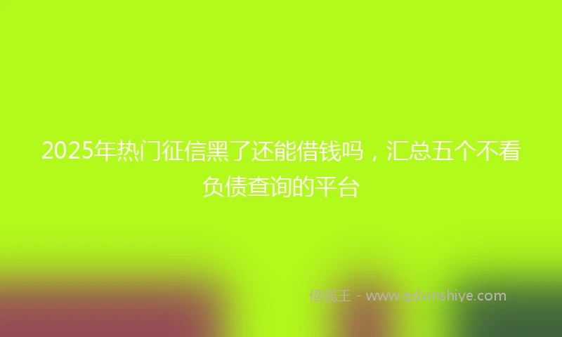 2025年热门征信黑了还能借钱吗，汇总五个不看负债查询的平台