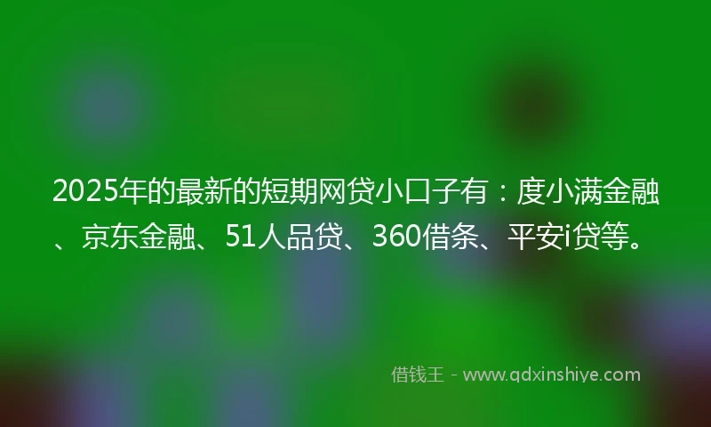 2025年的最新的短期网贷小口子有：度小满金融、京东金融、51人品贷、360借条、平安i贷等。