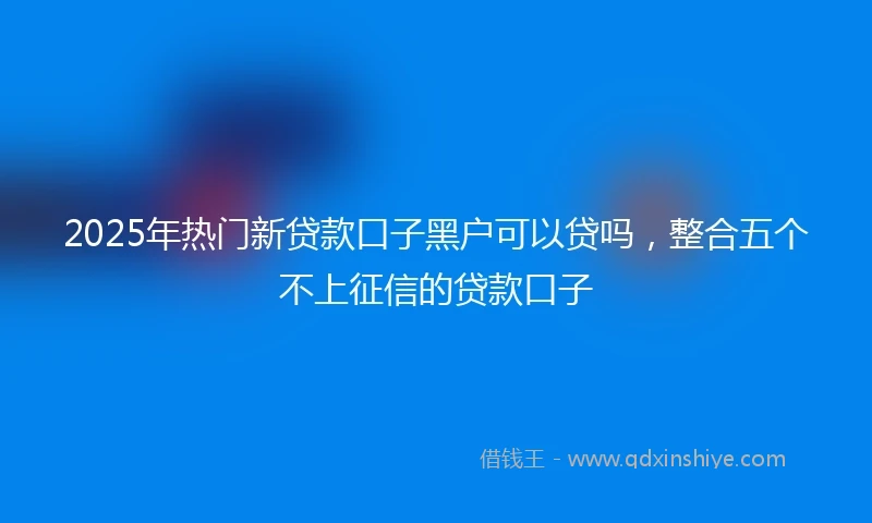 2025年热门新贷款口子黑户可以贷吗，整合五个不上征信的贷款口子