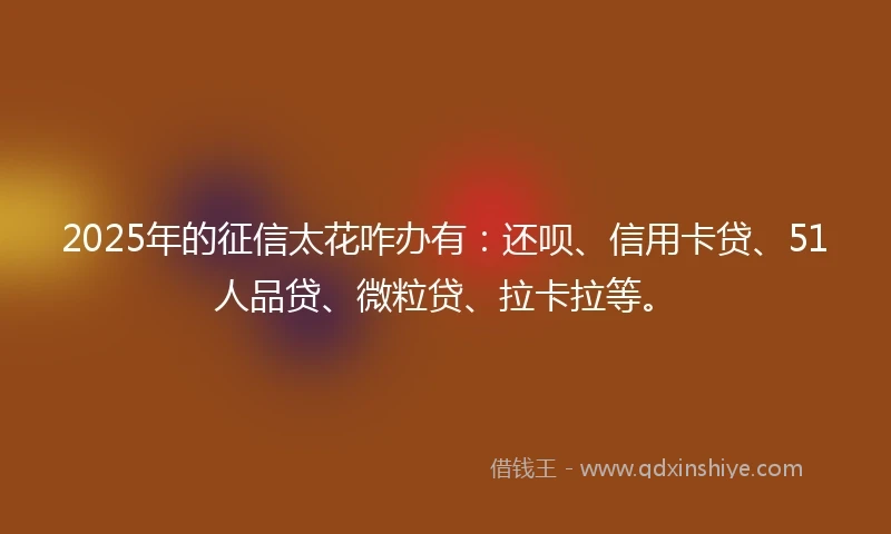 2025年的征信太花咋办有：还呗、信用卡贷、51人品贷、微粒贷、拉卡拉等。