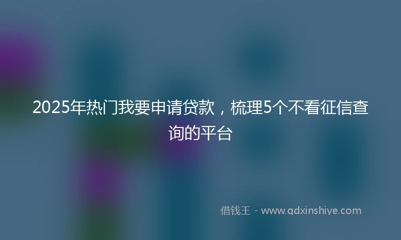 2025年热门我要申请贷款，梳理5个不看征信查询的平台