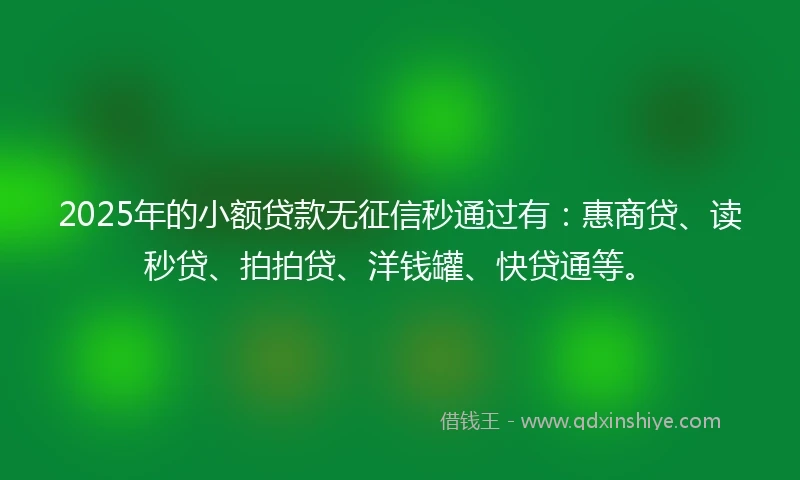 2025年的小额贷款无征信秒通过有：惠商贷、读秒贷、拍拍贷、洋钱罐、快贷通等。