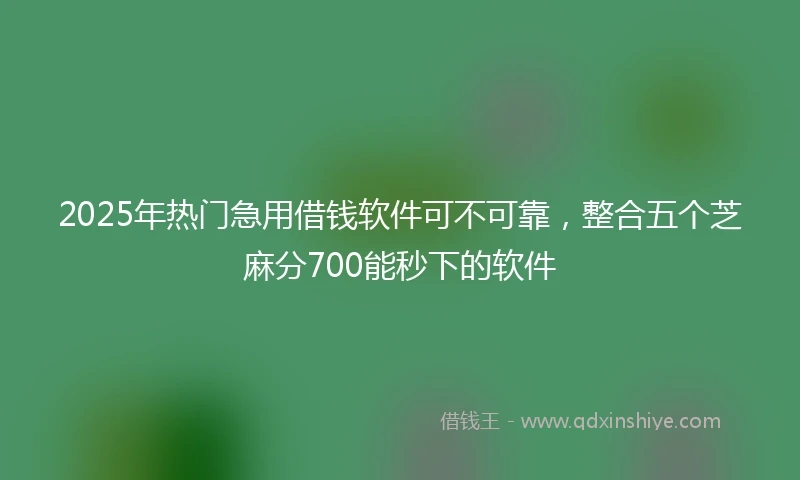 2025年热门急用借钱软件可不可靠，整合五个芝麻分700能秒下的软件