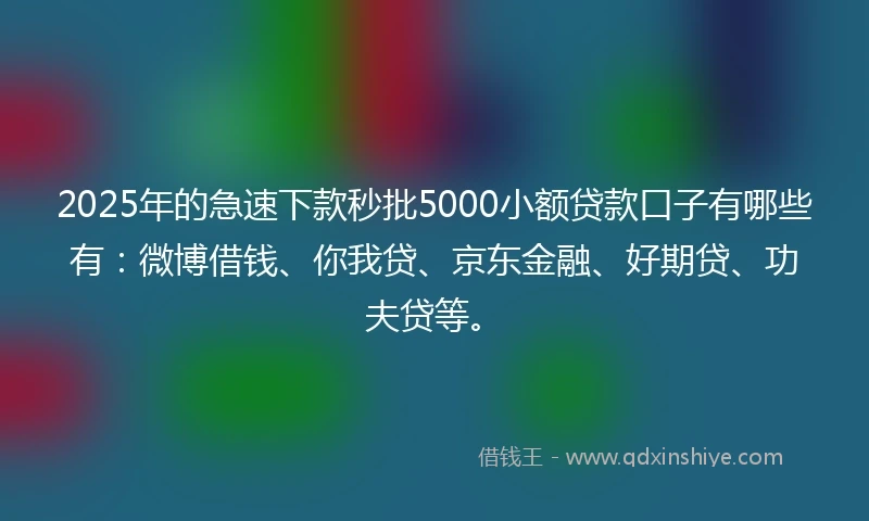 2025年的急速下款秒批5000小额贷款口子有哪些有：微博借钱、你我贷、京东金融、好期贷、功夫贷等。