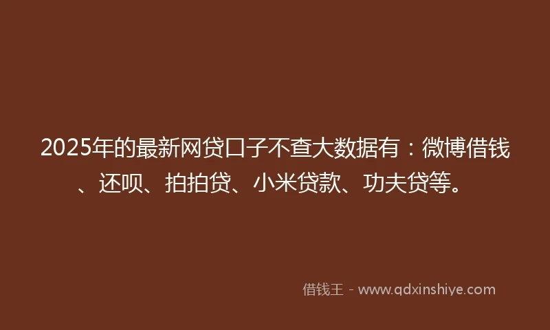 2025年的最新网贷口子不查大数据有：微博借钱、还呗、拍拍贷、小米贷款、功夫贷等。