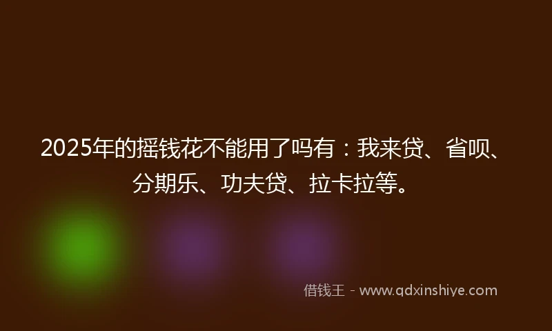 2025年的摇钱花不能用了吗有：我来贷、省呗、分期乐、功夫贷、拉卡拉等。