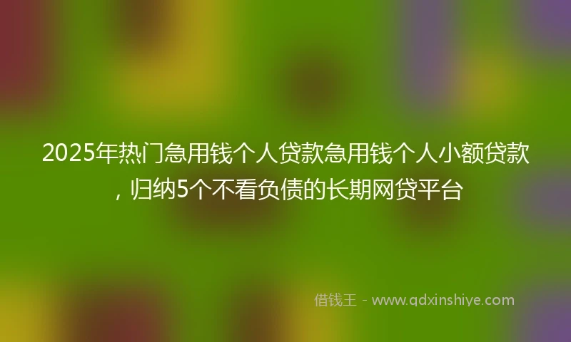 2025年热门急用钱个人贷款急用钱个人小额贷款，归纳5个不看负债的长期网贷平台