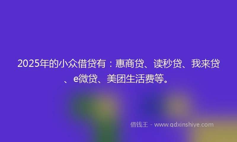 2025年的小众借贷有：惠商贷、读秒贷、我来贷、e微贷、美团生活费等。
