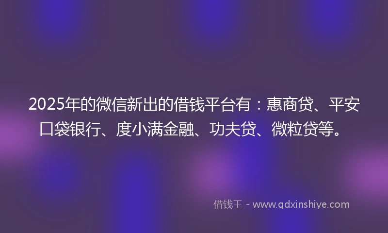 2025年的微信新出的借钱平台有：惠商贷、平安口袋银行、度小满金融、功夫贷、微粒贷等。