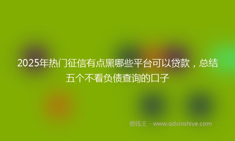 2025年热门征信有点黑哪些平台可以贷款，总结五个不看负债查询的口子