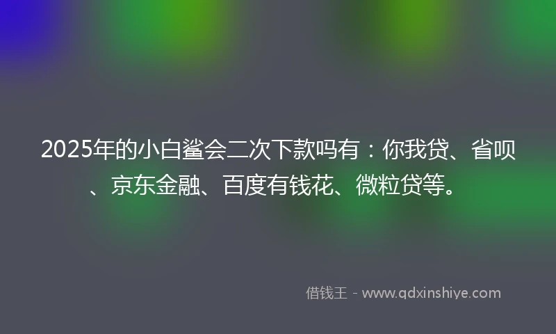2025年的小白鲨会二次下款吗有：你我贷、省呗、京东金融、百度有钱花、微粒贷等。