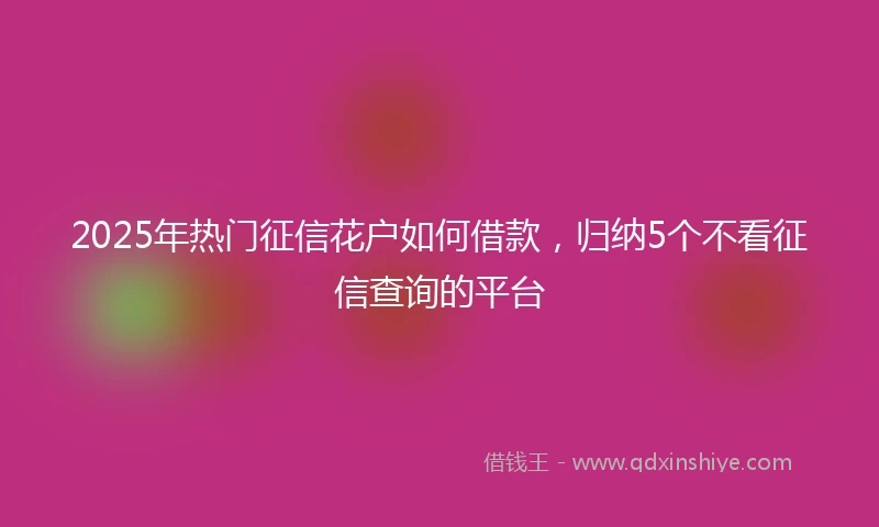 2025年热门征信花户如何借款，归纳5个不看征信查询的平台