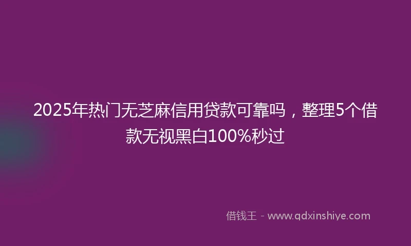 2025年热门无芝麻信用贷款可靠吗，整理5个借款无视黑白100%秒过